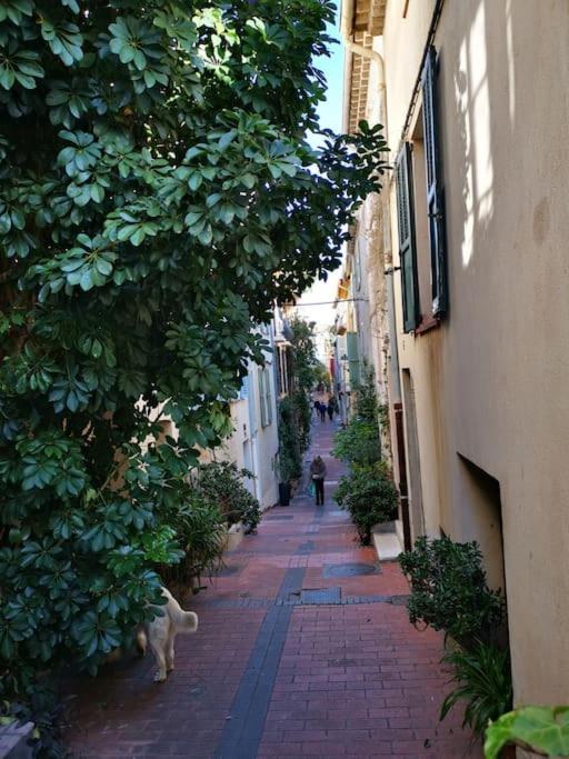 Antibes Apartment *